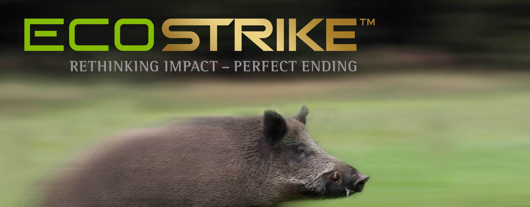 ECOSTRIKE OBRAZ ECOSTRIKE OBRAZ