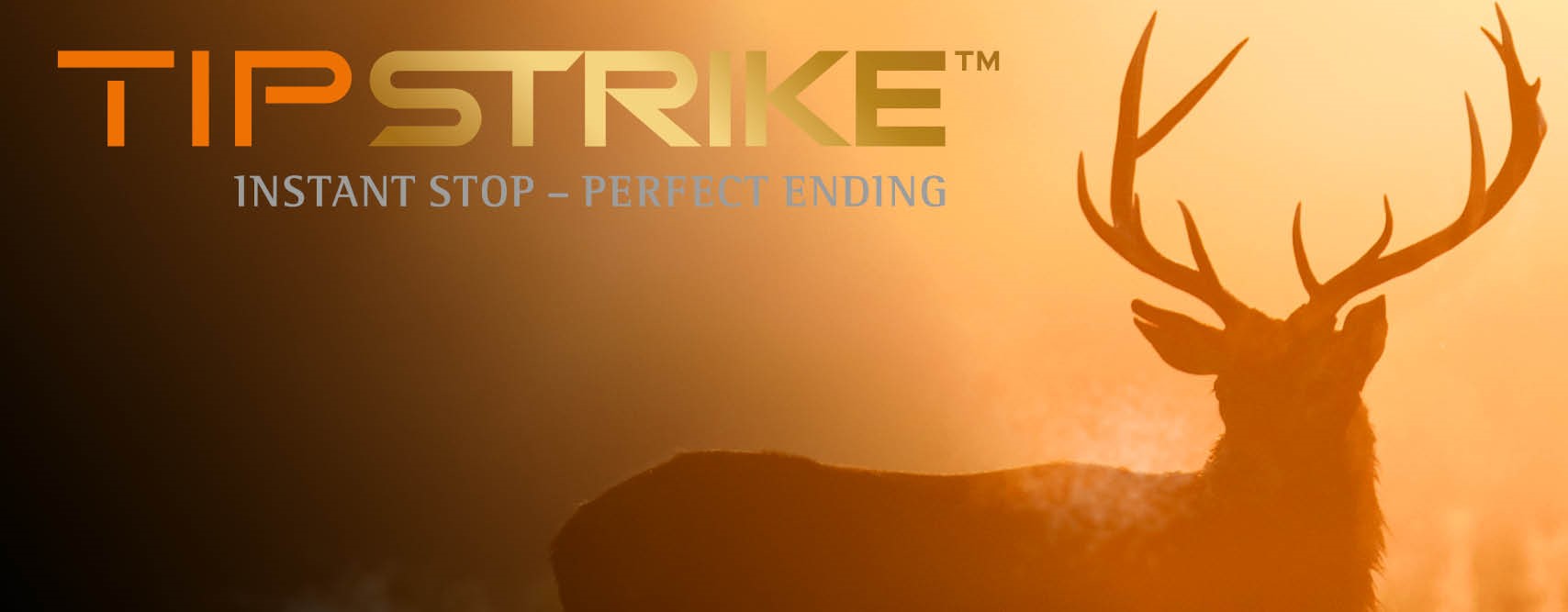 TIPSTRIKE OBRAZ TIPSTRIKE OBRAZ